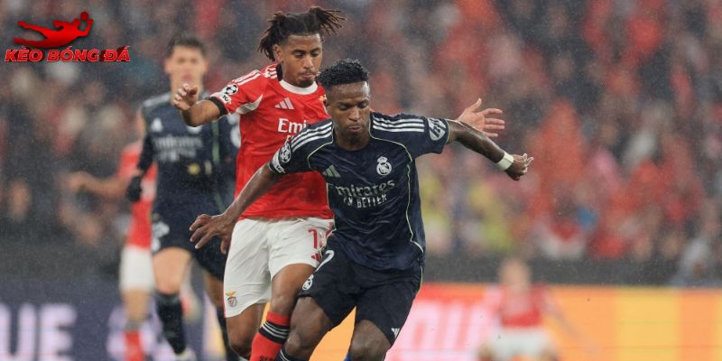 Benfica vs Real Madrid hứa hẹn sẽ vô cùng hấp dẫn Benfica vs Real Madrid hứa hẹn sẽ vô cùng hấp dẫn