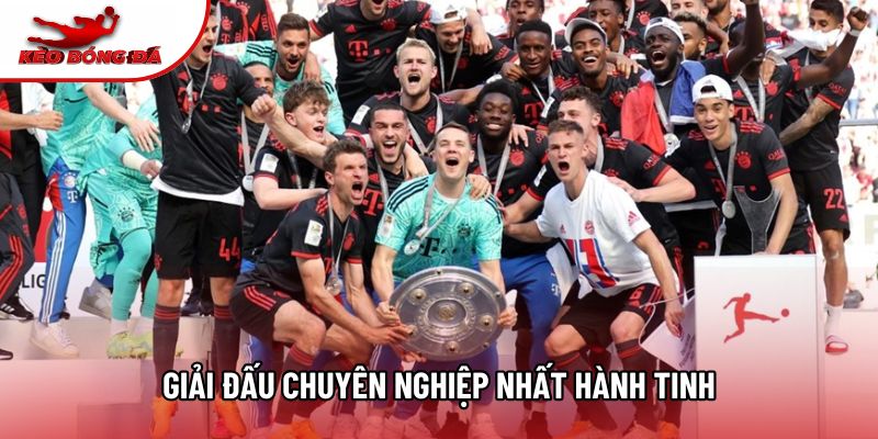 Giải đấu chuyên nghiệp nhất hành tinh