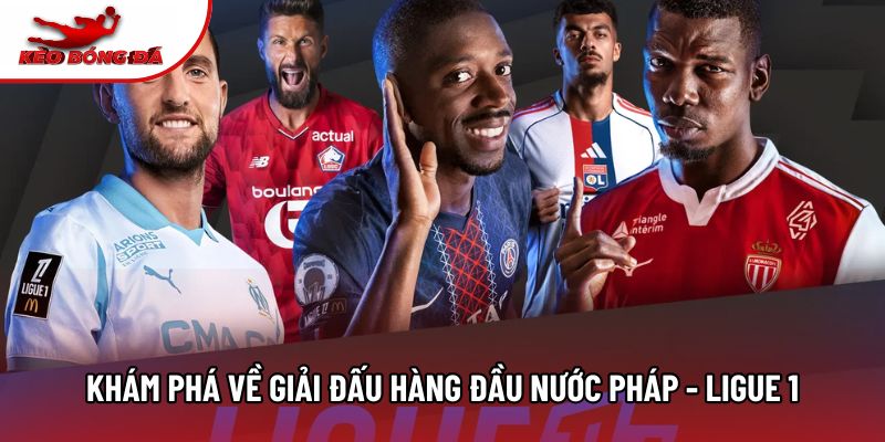 Khám phá về giải đấu hàng đầu nước Pháp - Ligue 1