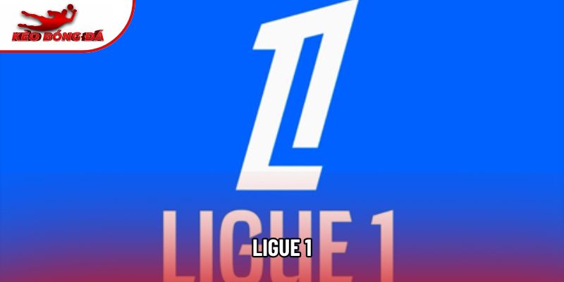 Ligue 1 - Đỉnh Cao Bóng Đá Pháp Và Những Cuộc Đối Đầu Rực Lửa