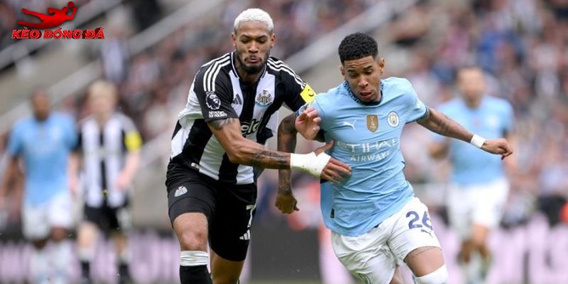 Man City vs Newcastle có sự chuẩn bị kỹ lưỡng Man City vs Newcastle có sự chuẩn bị kỹ lưỡng