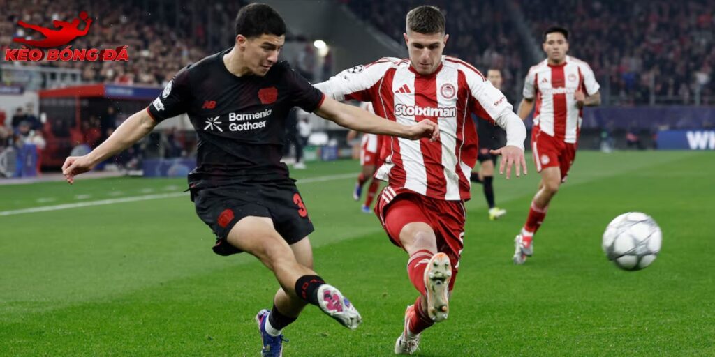 Olympiakos vs Bayer Leverkusen có thể xảy ra bất ngờ tiếp theo Olympiakos vs Bayer Leverkusen có thể xảy ra bất ngờ tiếp theo