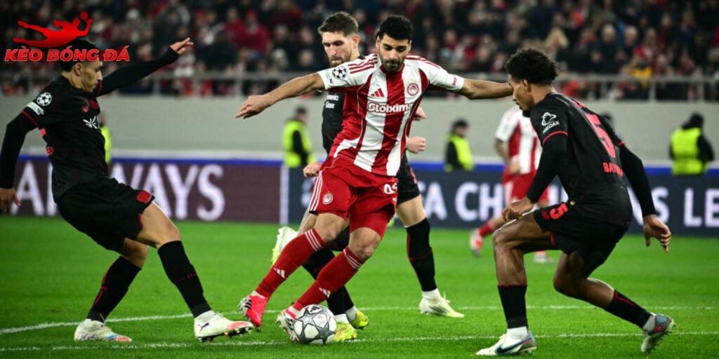 Olympiakos vs Bayer Leverkusen hoàn toàn có thể là trận đấu đáng xem Olympiakos vs Bayer Leverkusen hoàn toàn có thể là trận đấu đáng xem