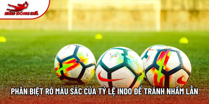 Phân biệt rõ màu sắc của tỷ lệ indo để tránh nhầm lẫn Phân biệt rõ màu sắc của tỷ lệ indo để tránh nhầm lẫn