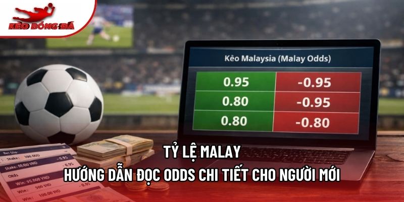 Tỷ Lệ Malay - Hướng Dẫn Đọc Odds Chi Tiết Cho Người Mới