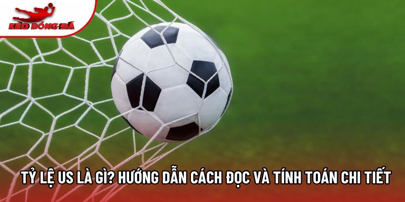 Tỷ Lệ US Là Gì? Hướng Dẫn Cách Đọc Và Tính Toán Chi Tiết