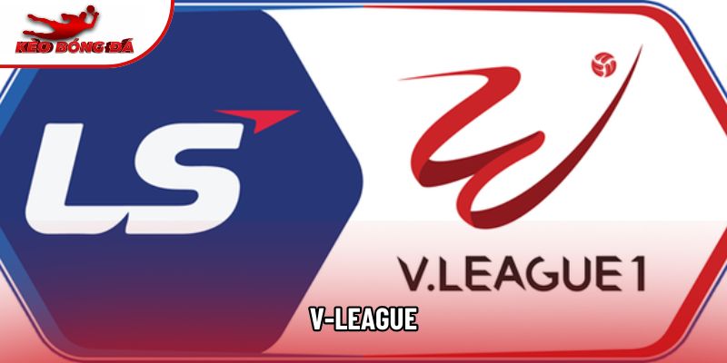 V-League Và Hành Trình Nâng Tầm Bóng Đá Chuyên Nghiệp